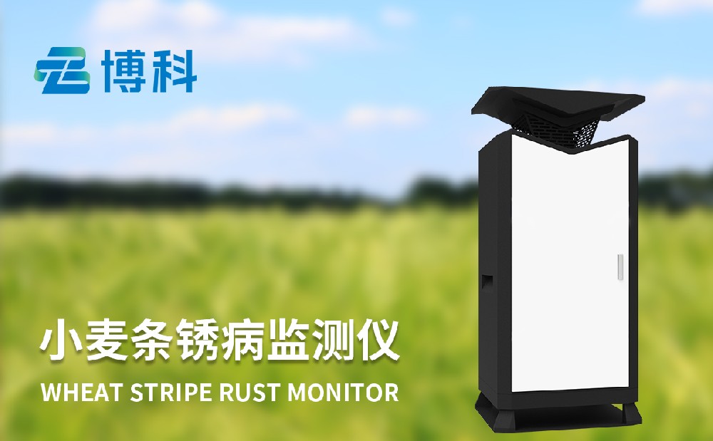 小麥條銹病監(jiān)測(cè)儀器守護(hù)小麥產(chǎn)量穩(wěn)定