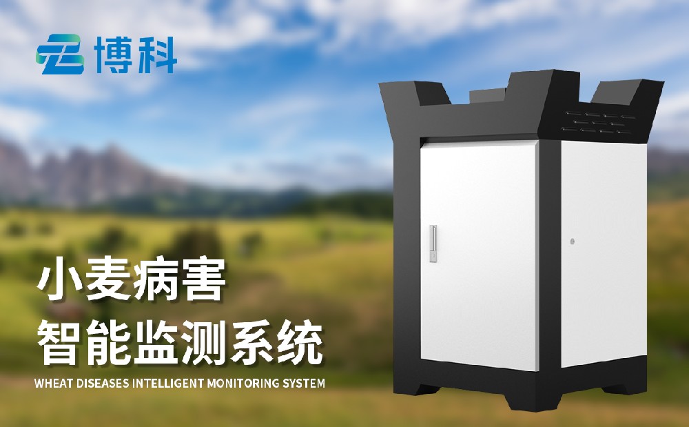 小麥赤霉病監(jiān)測儀