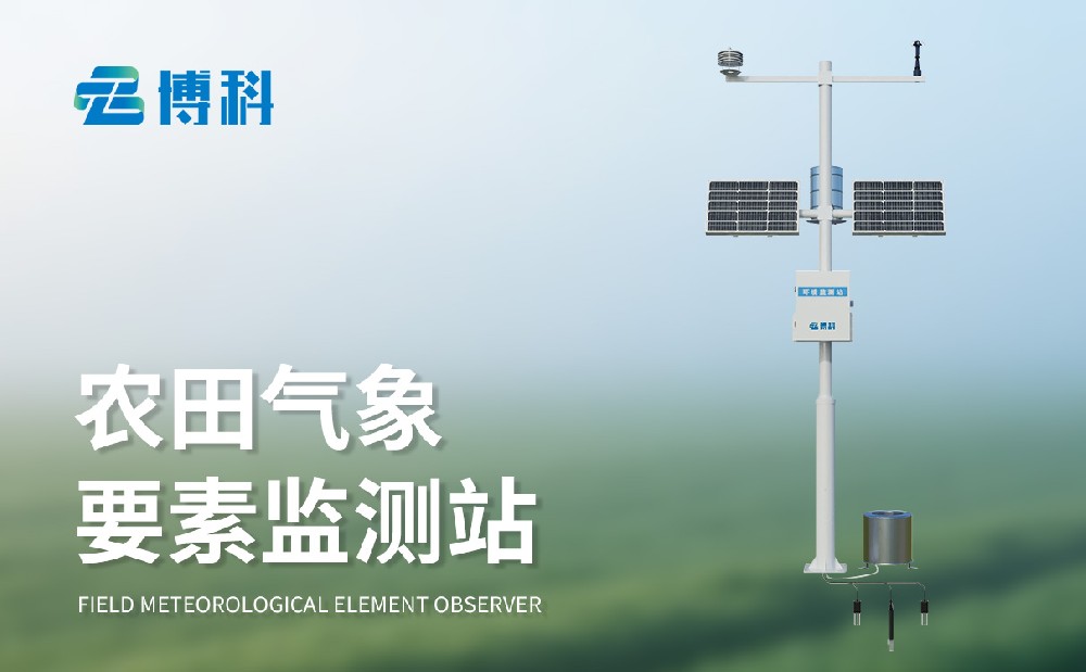 農業大棚氣象站掌握大棚內環境數據，提升管理能力